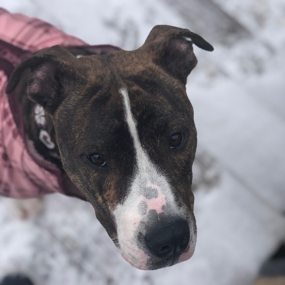 Meet your Posher, Katarina - Picture 1 of 1